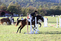 Kathleen Pimblett on Royal Grace, Green Horse Trials