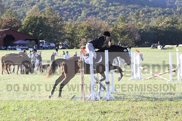 Kathleen Pimblett on Royal Grace, Green Horse Trials