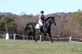 Amy Kryder on Rhianna, Beginner Novice Horse Trials Senior C