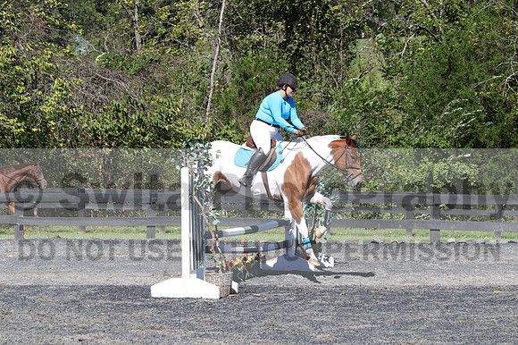 Natascha Schroll-McLaughlin on Play Girl, Beginner Novice Senior HT B