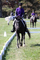 Judy Lancaster on Ride Sallie Ride, Beginner Novice Horse Trials Senior B