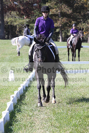 Judy Lancaster on Ride Sallie Ride, Beginner Novice Horse Trials Senior B
