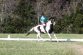 Kaitlyn Schmidt on Dandy, Advanced Green Horse Trials A
