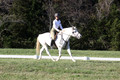 Jeanne Jeffer on Snowball's Chance, Green Horse Trials