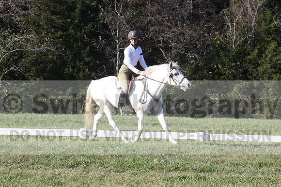 Jeanne Jeffer on Snowball's Chance, Green Horse Trials