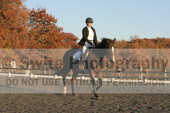 Thea Miller on Something Glamorous, Dressage Only: Training Level, Test 3
