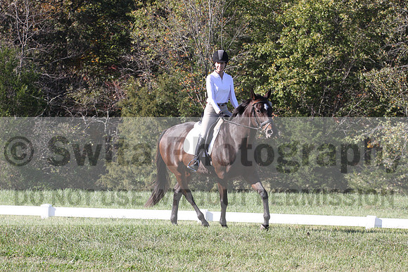 Nancy Grey on Bit Of Irish, Advanced Green Horse Trials B