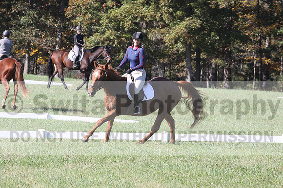 Corrine Woods on Amber, Beginner Novice Horse Trials Senior A