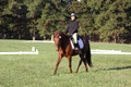 Jenny Rosner on Abbey Moon, Training Horse Trials