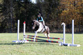Kaitlyn Schmidt on Dandy, Advanced Green Horse Trials A
