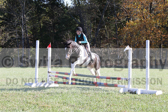 Kaitlyn Schmidt on Dandy, Advanced Green Horse Trials A