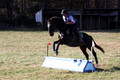 Corinne McCoy on FGF Midnight Harmony, Advanced Green Horse Trials Senior A