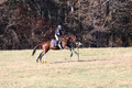 Abby McGowan on Civil Bond, Beginner Novice Horse Trials Junior B