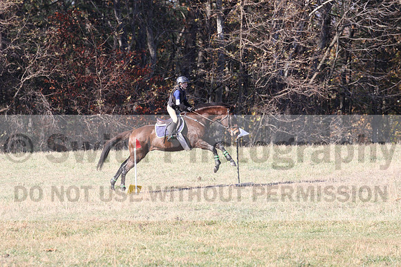 Abby McGowan on Civil Bond, Beginner Novice Horse Trials Junior B
