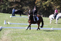 Elaine Groves on Luidonna, Beginner Novice Horse Trials Senior B