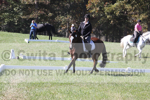 Elaine Groves on Luidonna, Beginner Novice Horse Trials Senior B
