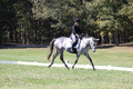 Michele Gnozzio on Dazzling, Beginner Novice Horse Trials Senior C