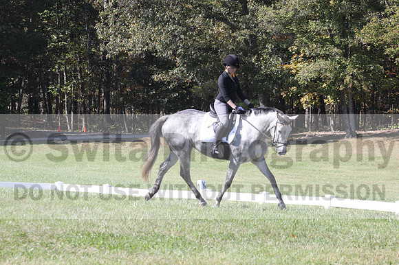 Michele Gnozzio on Dazzling, Beginner Novice Horse Trials Senior C