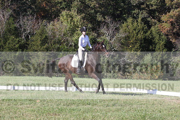 Nancy Grey on Bit Of Irish, Advanced Green Horse Trials B