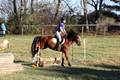 Molli Heisler on Rebel, Green Horse Trials Junior