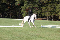 Madeleine Kahle on Luck Be A Lady, Novice Horse Trials Senior A