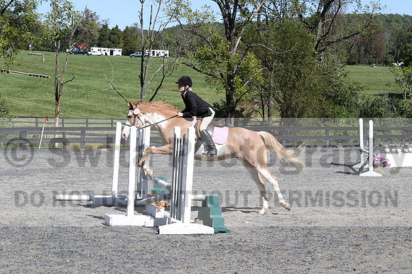 Sophia Zwaldo on Carmel Colored Lady, Advanced Green Horse Trials Junior