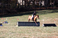 Theresa Thompson on Rated PG, Novice Horse Trials Senior