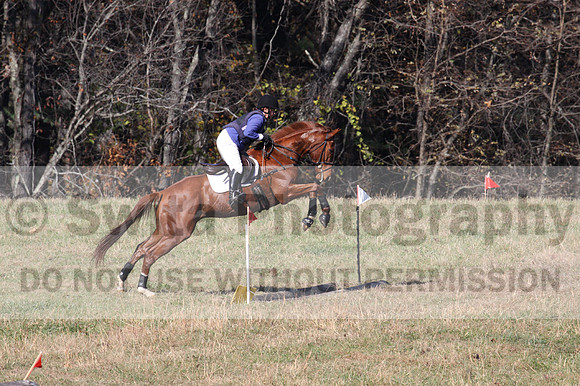 Suzy Gehris on Steddy Eddy, Beginner Novice Horse Trials Senior C