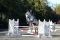 Liz Riley on Ice Storm, Novice HT