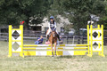 Aubrie Wyatt on Mint Julep, JBN