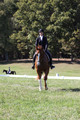 Amy Parsons on Wren Wrouge, Advanced Green Horse Trials A