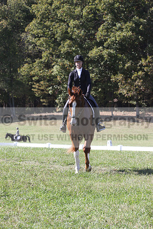 Amy Parsons on Wren Wrouge, Advanced Green Horse Trials A