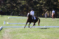 Pia Zuffoletti on Rio, Beginner Novice Horse Trials Junior A