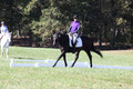 Judy Lancaster on Ride Sallie Ride, Beginner Novice Horse Trials Senior B