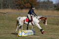 Corrine Woods on Chief's Star Dreammaker, Beginner Novice Horse Trials Senior B
