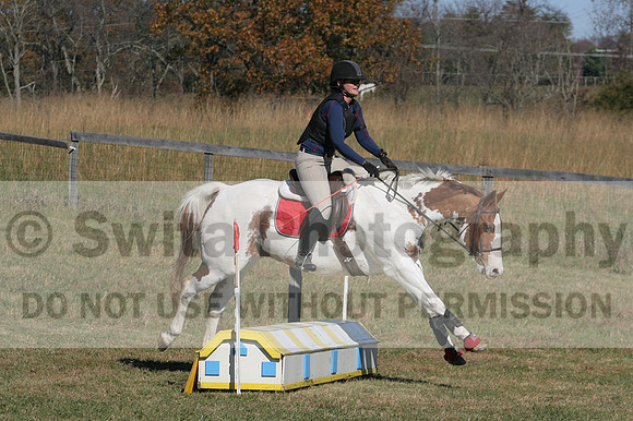 Corrine Woods on Chief's Star Dreammaker, Beginner Novice Horse Trials Senior B