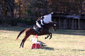 Ella Grier on Jean Louis Finch, Advanced Green Horse Trials Junior B