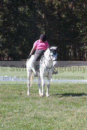 Katie Pinner on Ridgetop Robin Goodfellow, Beginner Novice Horse Trials Senior C