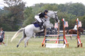 Abigail Winfree on Armani IV, JOT