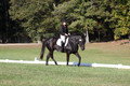 Melissa Kenny on F.O. Calculated Risk, Novice Horse Trials Senior B