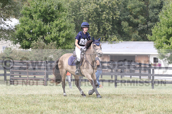 Lulu Malinoski on Valencia Dralium