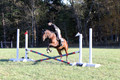 Kathleen Pimblett on Royal Grace, Green Horse Trials