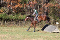 Wendy Zolinski on Civil Assets, Training Horse Trials