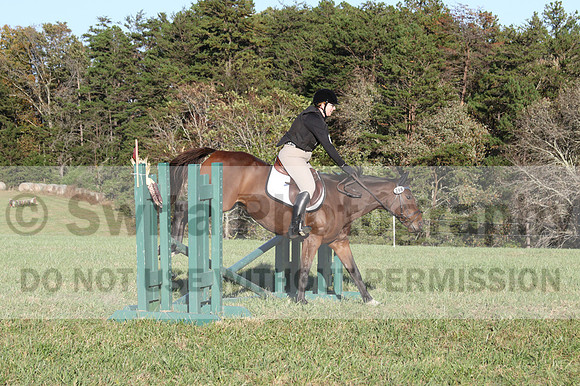 Kathleen Pimblett on Royal Grace, Green Horse Trials