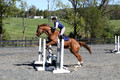 Amy Parsons on Wren Wrouge, Beginner Novice Senior HT B