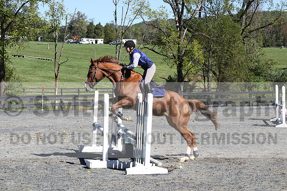 Amy Parsons on Wren Wrouge, Beginner Novice Senior HT B