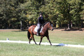 Elaine Groves on Luidonna, Beginner Novice Horse Trials Senior B