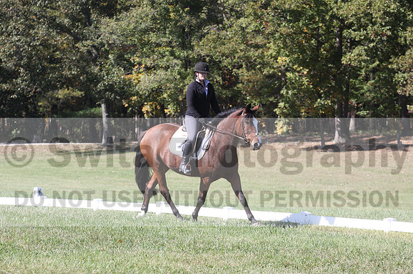 Elaine Groves on Luidonna, Beginner Novice Horse Trials Senior B