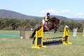 Emily Digney on American Airman, Beginner Novice Horse Trials Senior B
