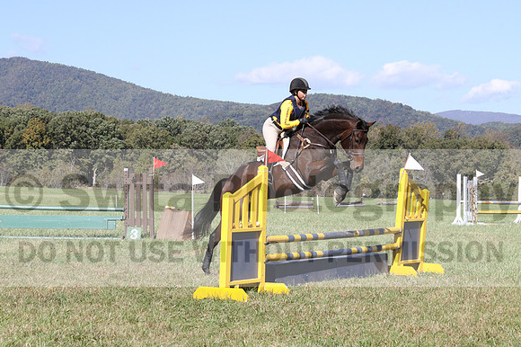 Emily Digney on American Airman, Beginner Novice Horse Trials Senior B